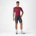 Abbigliamento Uomo Maglia Trofeo Giro d'Italia 2024-Bordeaux