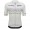 Abbigliamento uomo Zurigo 2024 Maglia Santini UCI Masters World Champion-Grigio