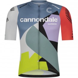 Maglia Ale VF Group-Bardiani CSF-Faizane 2024 da uomo