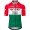 Abbigliamento Uomo Maglia Team Visma Lease a Bike 2025-Campione Ungherese