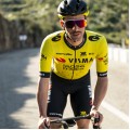 Abbigliamento Uomo Maglia Team Visma Lease a Bike 2025