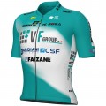 Maglia Ale VF Group-Bardiani CSF-Faizane 2025 da uomo