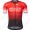 Arkea Samsic 2021 Maglia Ciclismo Manica Corta 8236-YWV