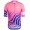 Completo Ciclismo 2020 EF Pro Cycling Rose Squadre Maglia Ciclismo Manica Corta
