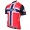 DIMENSION DATA 2017 Norwegian Champion Maglia Ciclismo Manica Corta 74906-WR