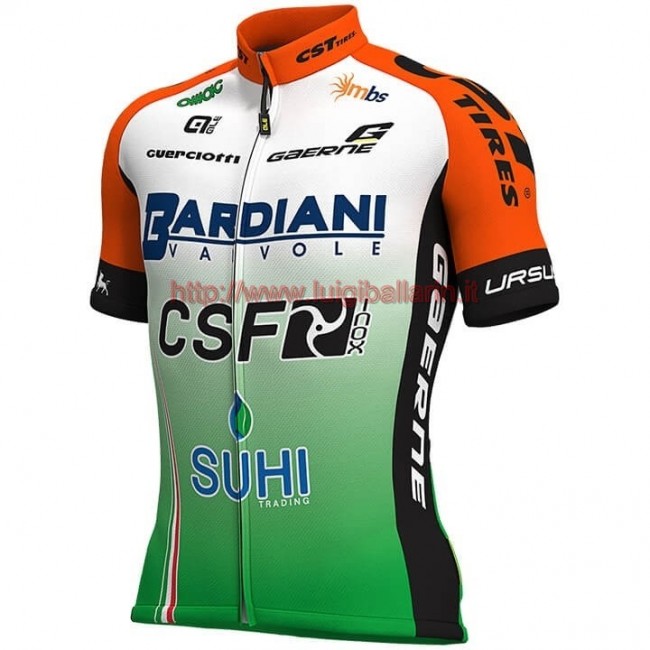 Completo Ciclismo 2019 Bardiani CSF Squadre Maglia Ciclismo Manica Corta Completo Ciclismo 2019 Bardiani CSF Squadre Maglia Ciclismo Manica Corta