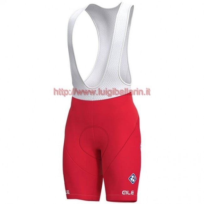 Completo Ciclismo 2019 Groupama FDJ Swiss Champion Salopette Ciclismo Completo Ciclismo 2019 Groupama FDJ Swiss Champion Salopette Ciclismo