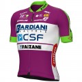 Maglia ciclismo BARDIANI CSF FAIZANE' 2022 manica corta (zip lunga) - ALE Professional Cycling Team