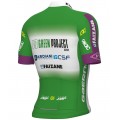Maglia da ciclismo Green Project-Bardiani Csf-Faizane' 2023 manica corta (cerniera lunga)-ALE Professional Cycling Team